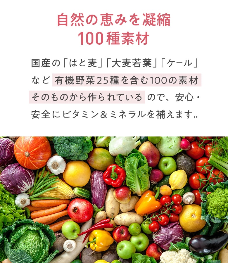 Rima ☆ 様LAVA ヨギーニフード100 ストロベリー 定期購入】Yoganic Life ヨギーニフード100 ストロベリー(1袋