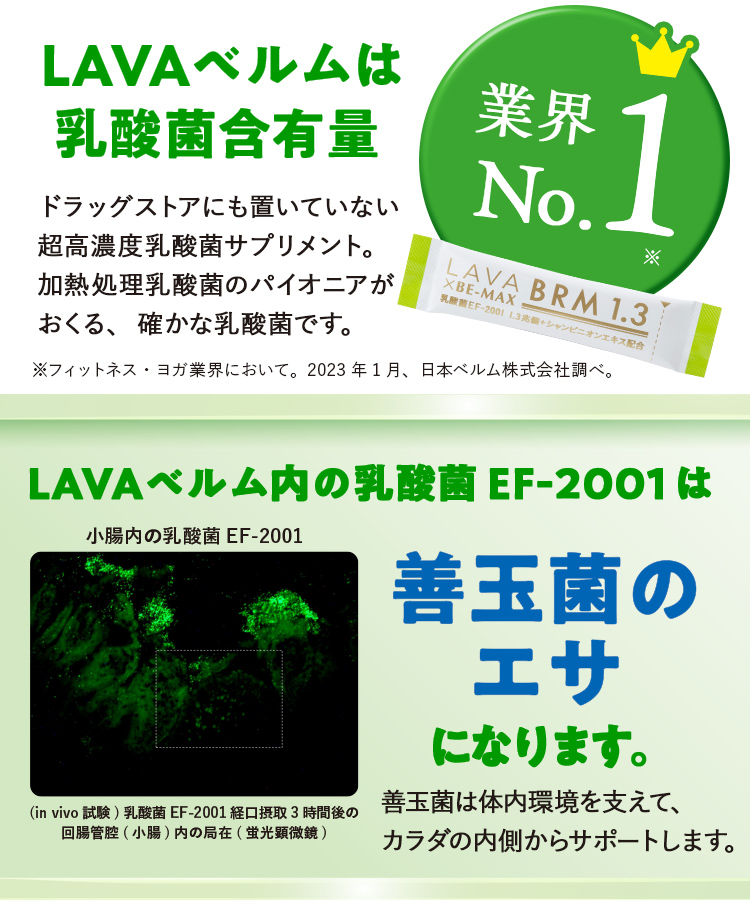 乳酸菌含有食品LAVA BRM1.3 ラバ ベルム 2箱 - 健康用品