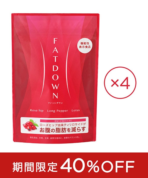 【SALE】FATDOWN（ファットダウン）［4袋］