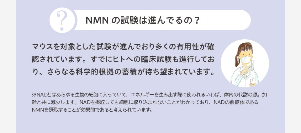NMNの試験は進んでるの?