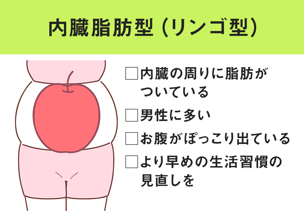 内臓脂肪型（リンゴ型）