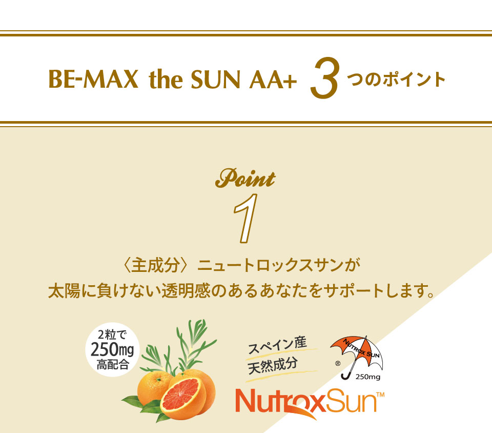 BE-MAX the SUN AA+