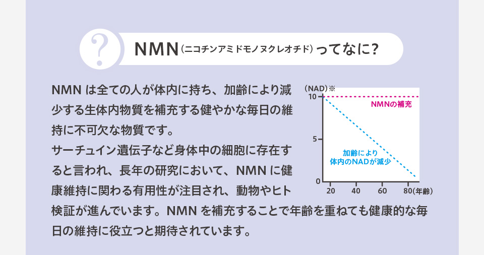 NMN（ニコチンアミドモノヲクレオチド）ってなに？