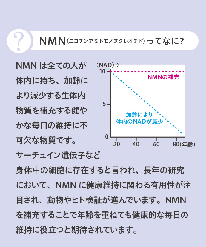 NMN（ニコチンアミドモノヲクレオチド）ってなに？