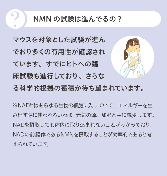NMNの試験は進んでるの？