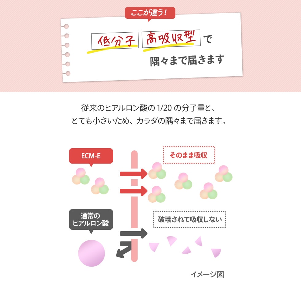 低分子・高吸収型で隅々まで届きます