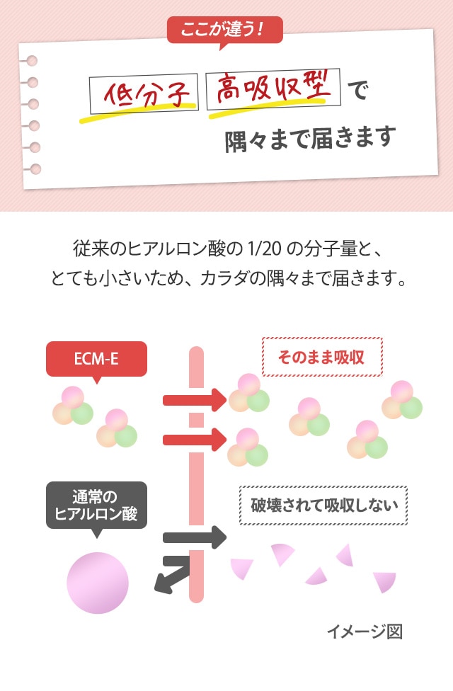 低分子・高吸収型で隅々まで届きます
