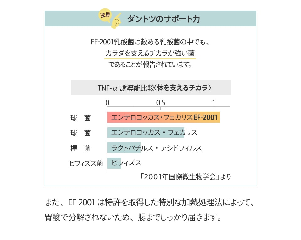 ダントツの守る力