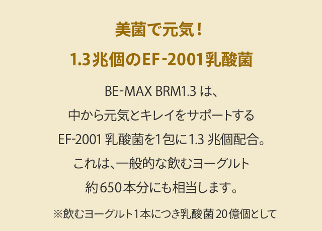 LapreBE-MAX BRM1.3(ビーマックス ベルム 1.3):