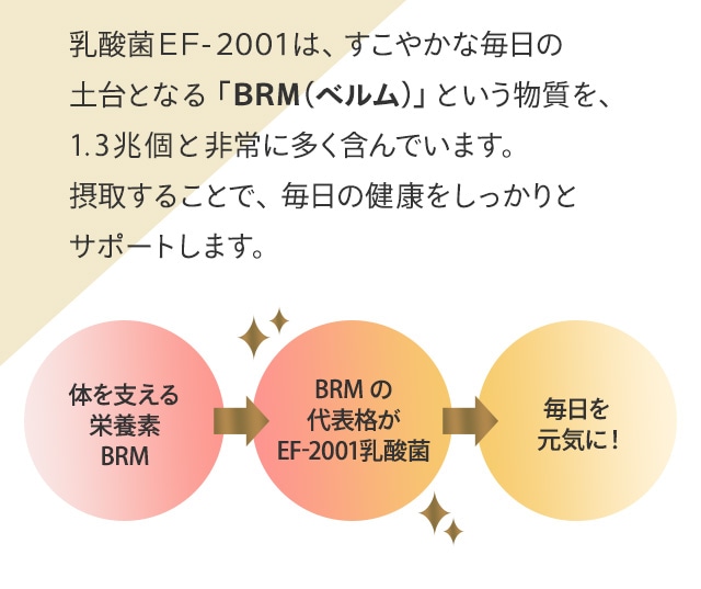 LapreBE-MAX BRM1.3(ビーマックス ベルム 1.3):