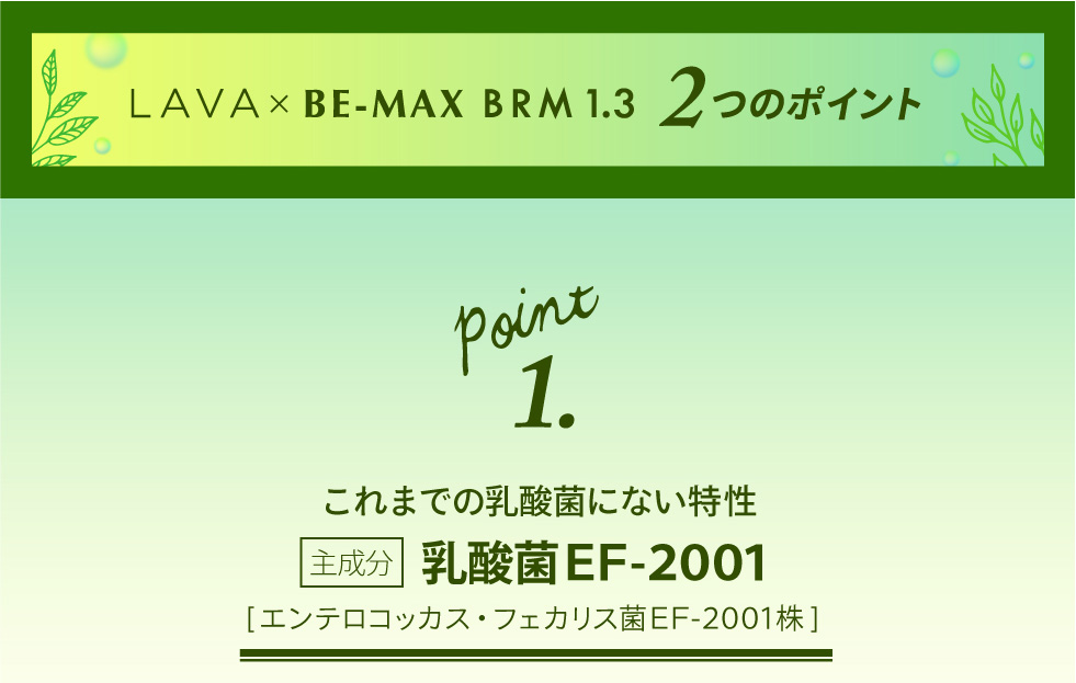 LAVA×BE-MAX BRM1.3　2つのポイント