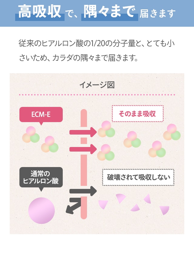 高吸収で、隅々まで届きます