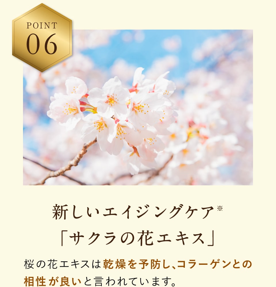 新しいエイジングケア※「サクラの花エキス」 桜の花エキスは乾燥を予防し、コラーゲンとの相性が良いと言われています。