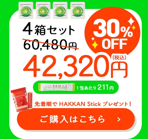 LAVA×BE-MAX BRM 1.3 まとめ買いセール