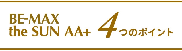 4つのポイント