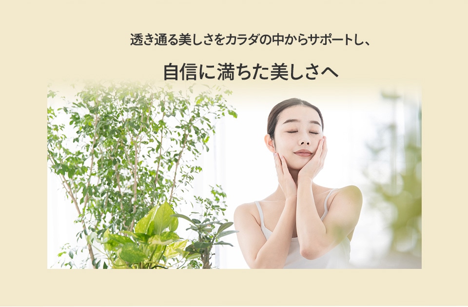 今まで以上の美しさへ
