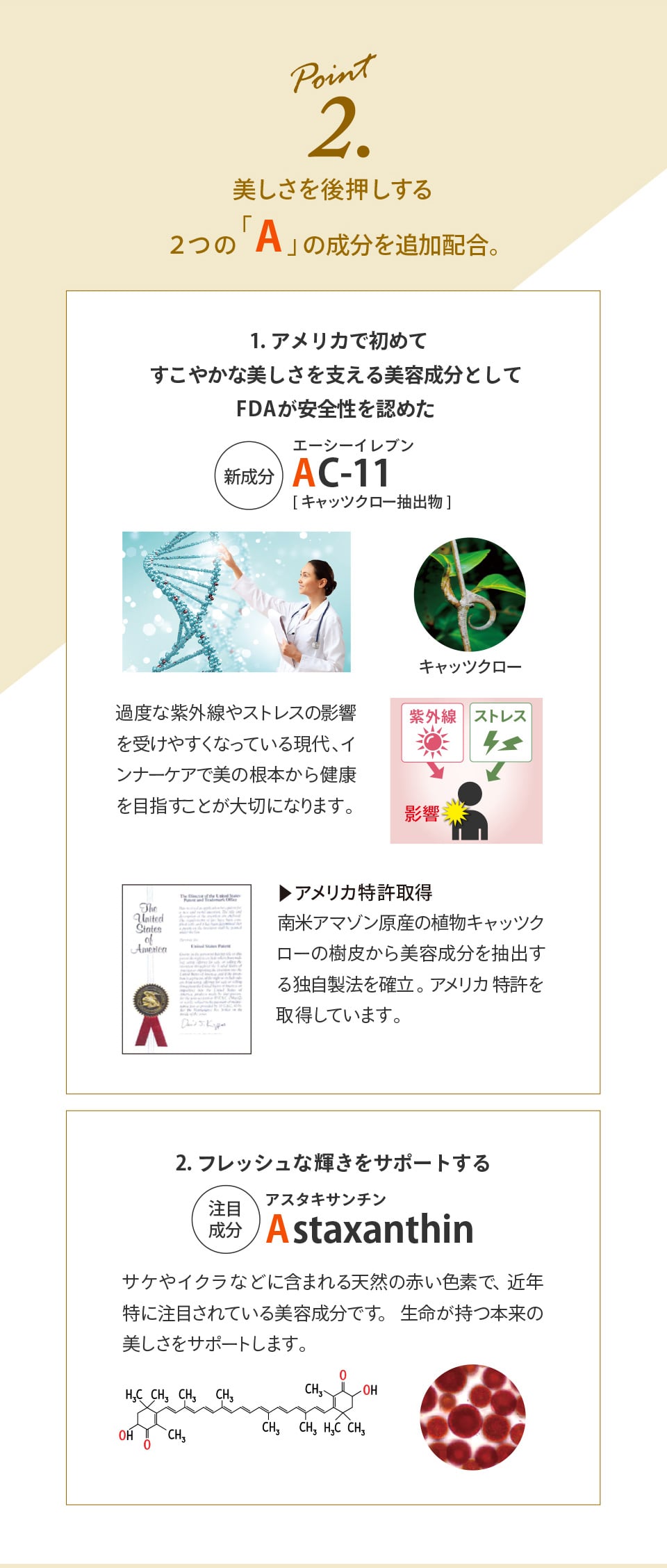 ポイント2