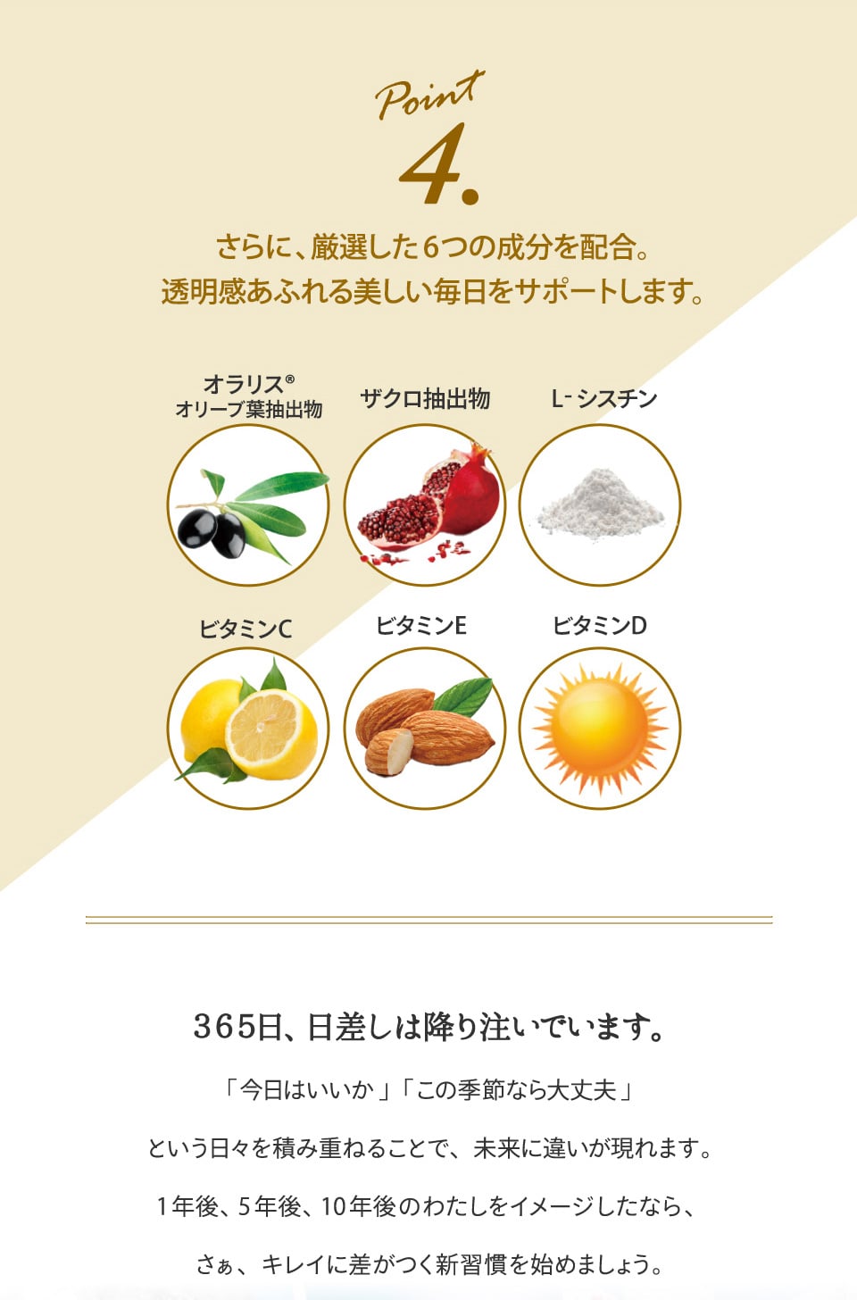 BE-MAX the SUN AA+(ビーマックス ザ サン エーエープラス