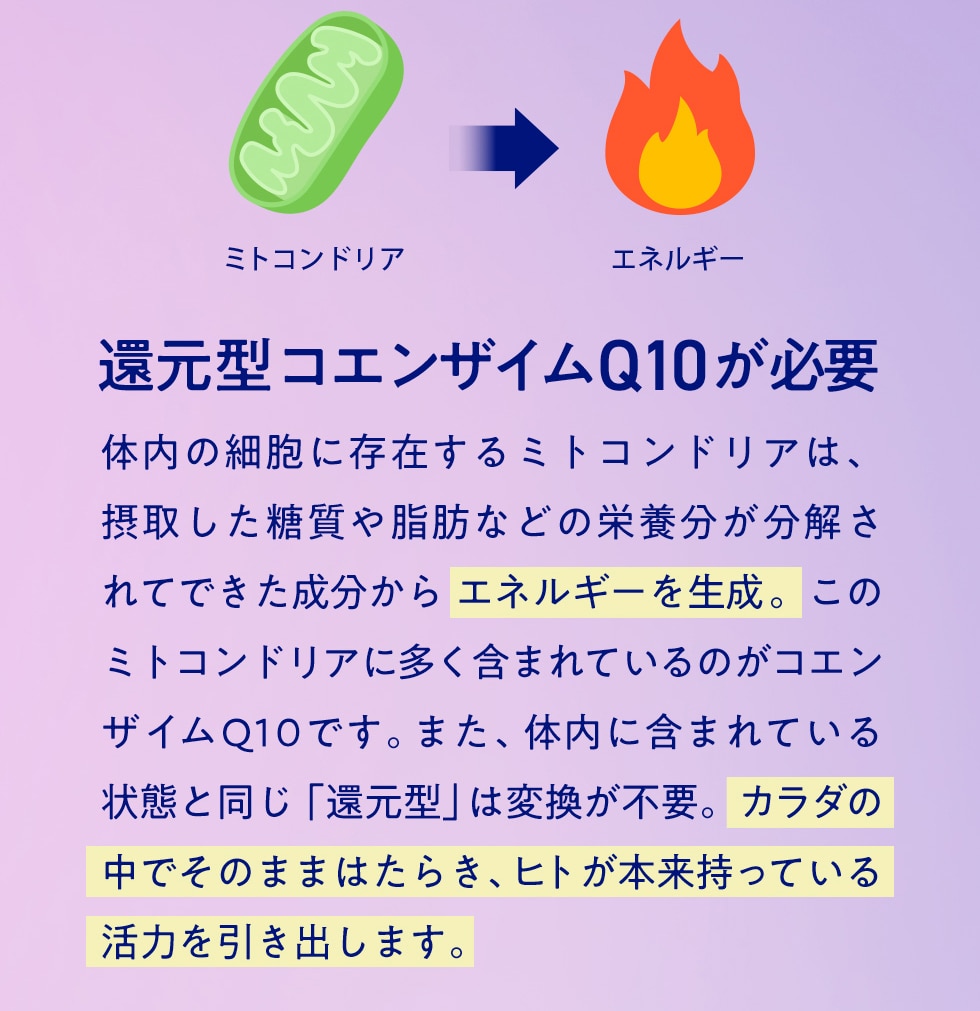 還元型コエンザイムQ10が必要