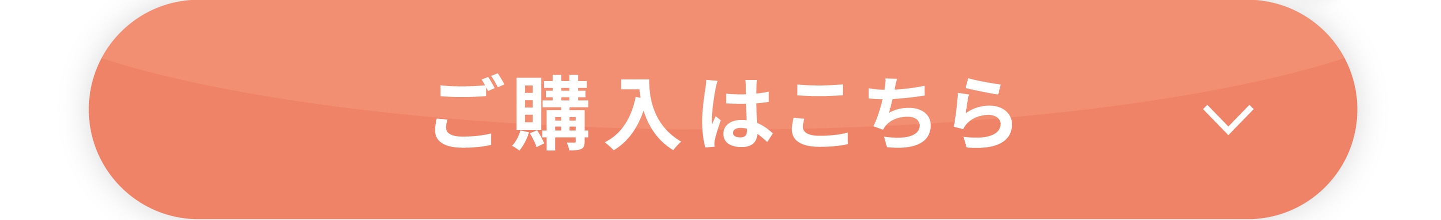 ご購入はこちら