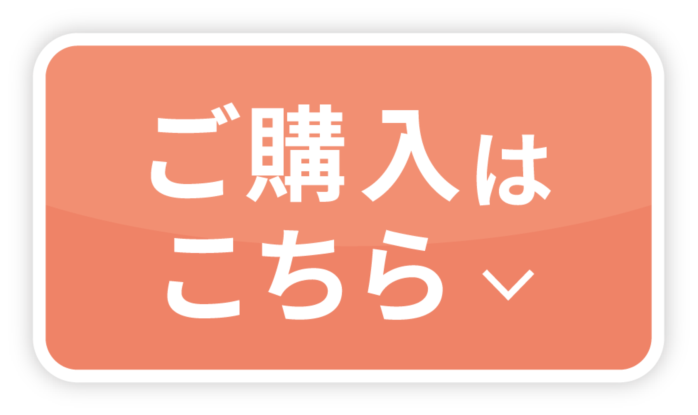 ご購入はこちら