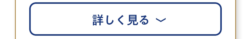 詳しく見る