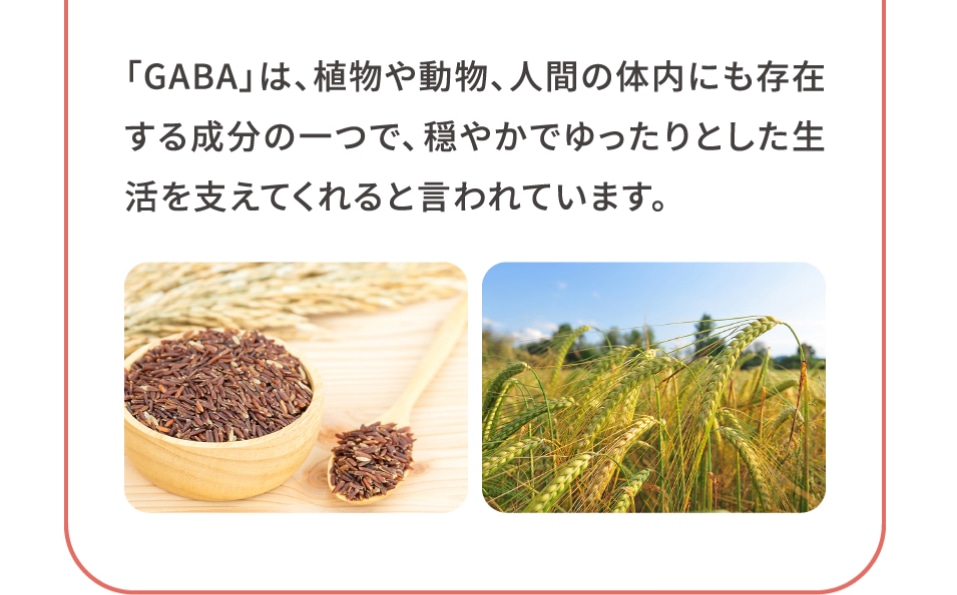 「GABA」は、植物や動物、人間の体内にも存在する成分の一つで、穏やかでゆったりとした生活を支えてくれると言われています。