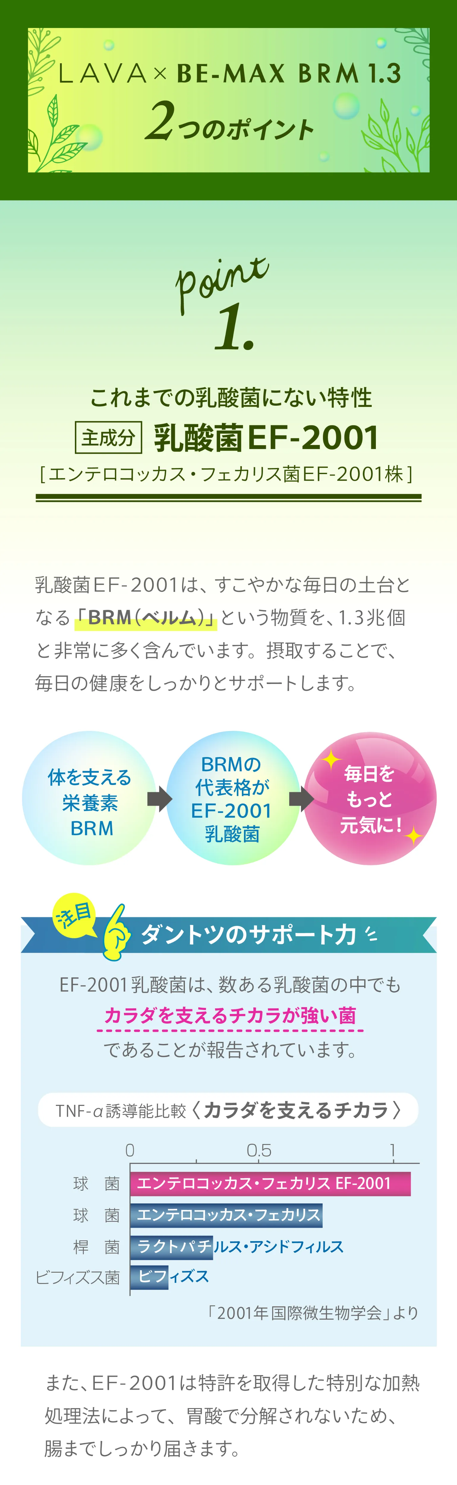 lava-be-max-brm