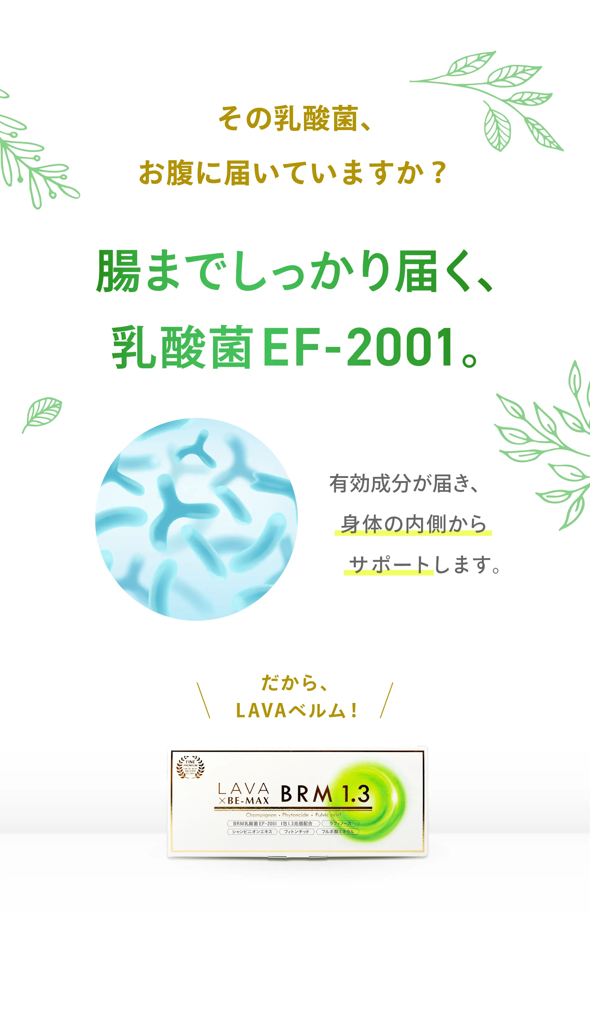 lava-be-max-brm