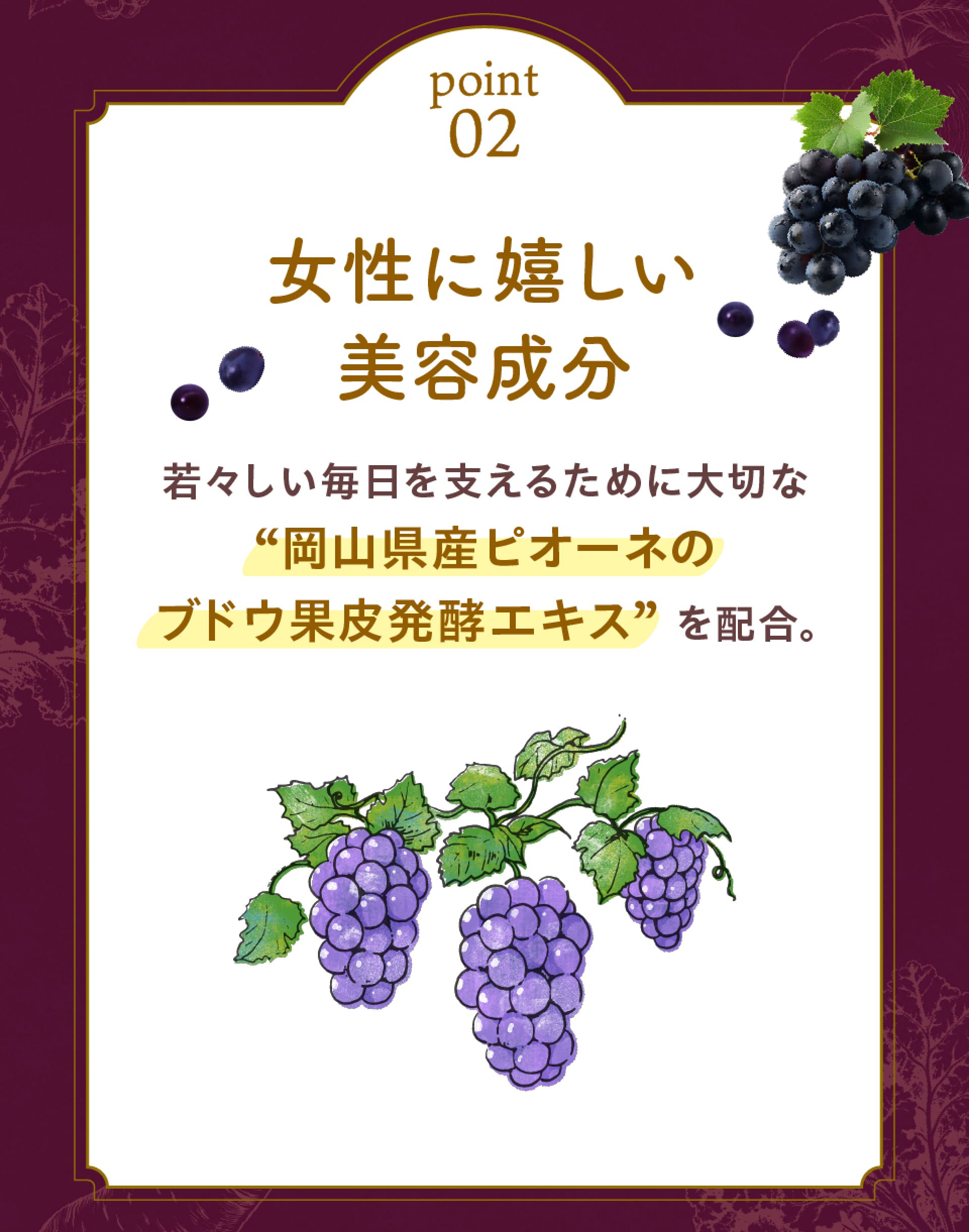point2女性に嬉しい美容成分