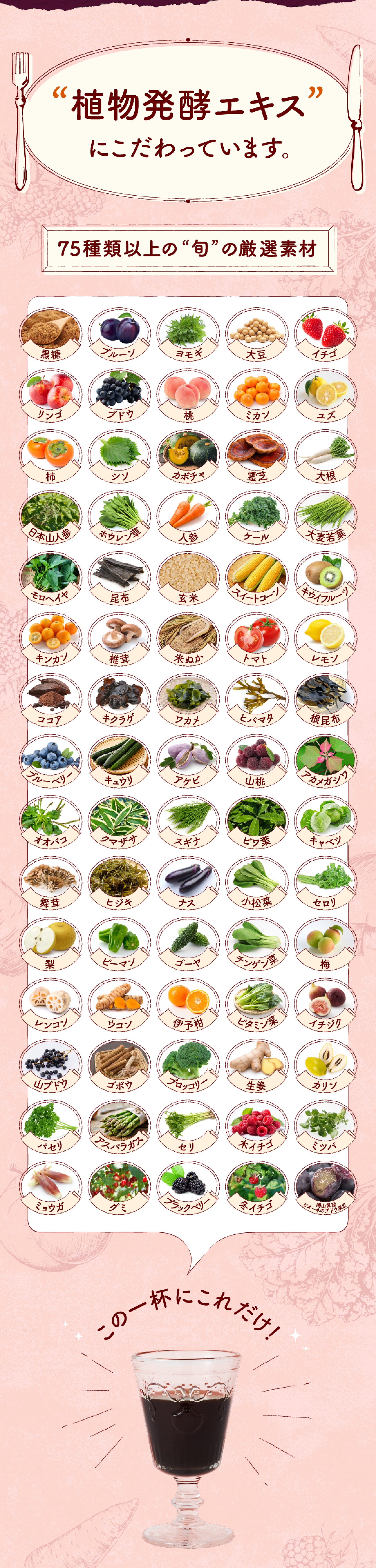 植物発酵エキスにこだわっています。