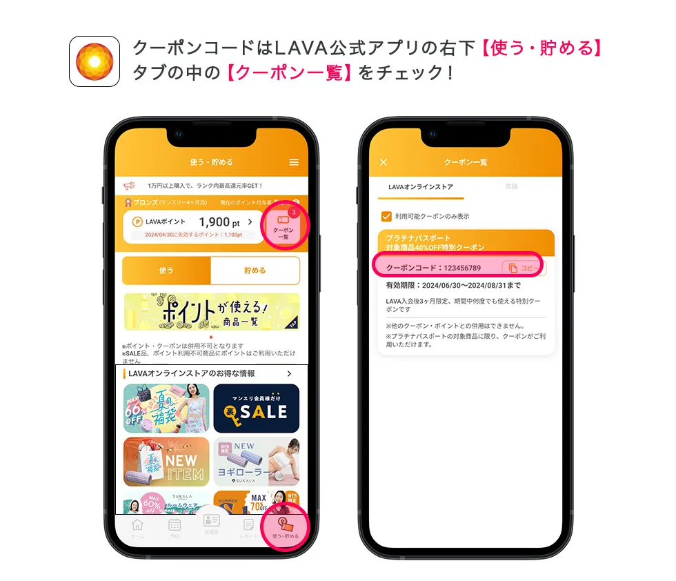 プラチナパスポート