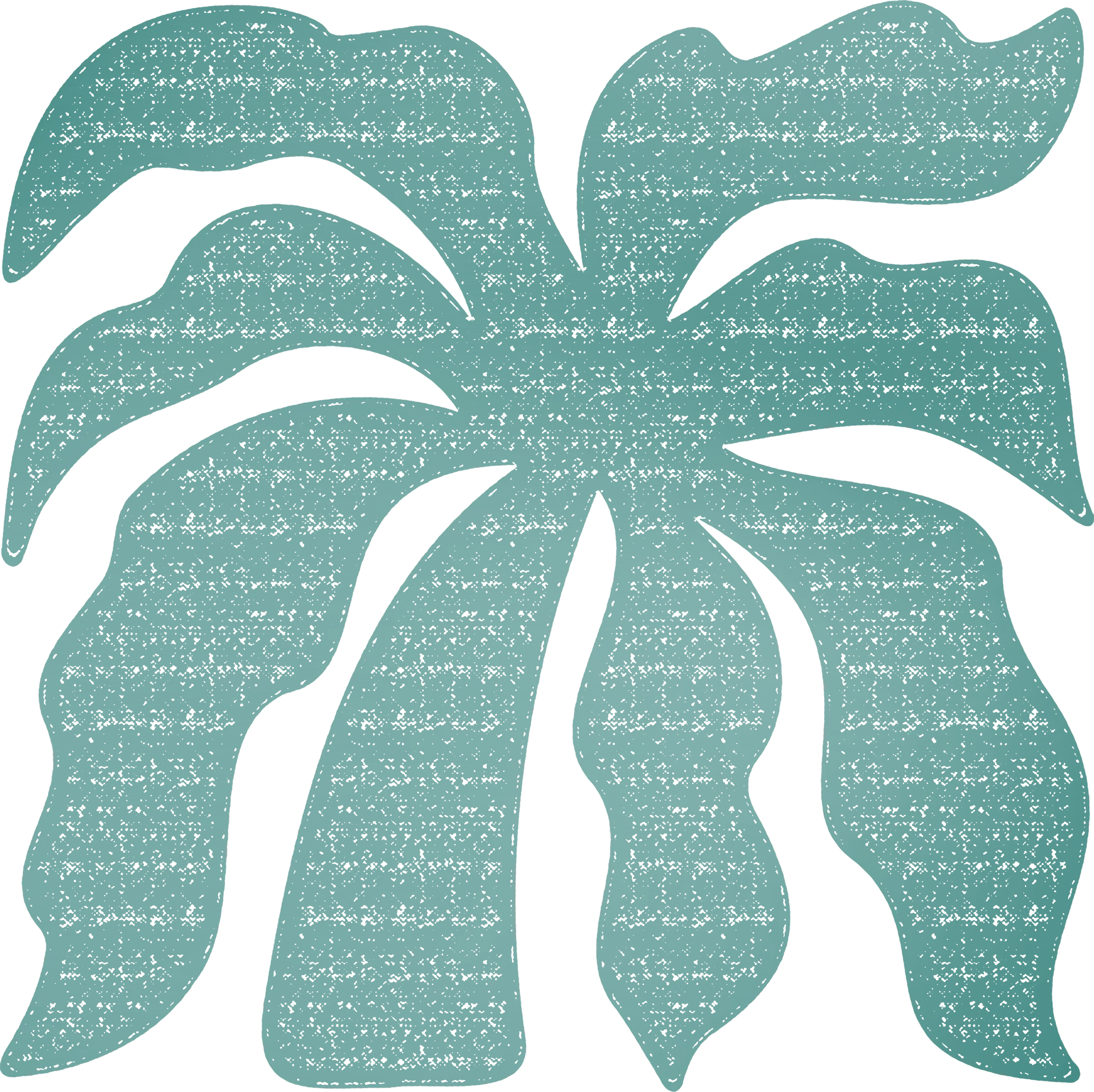 palm