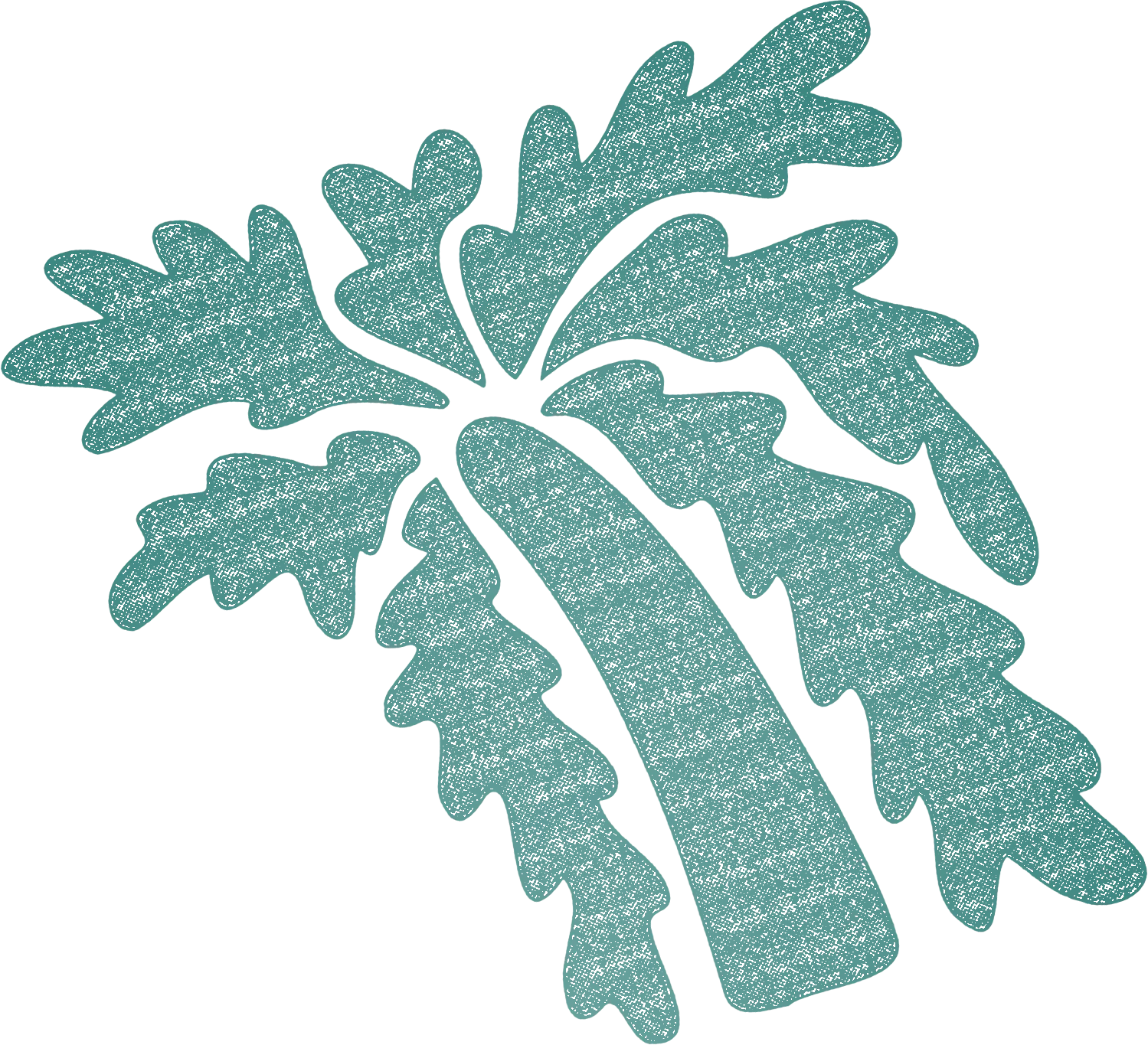 palm