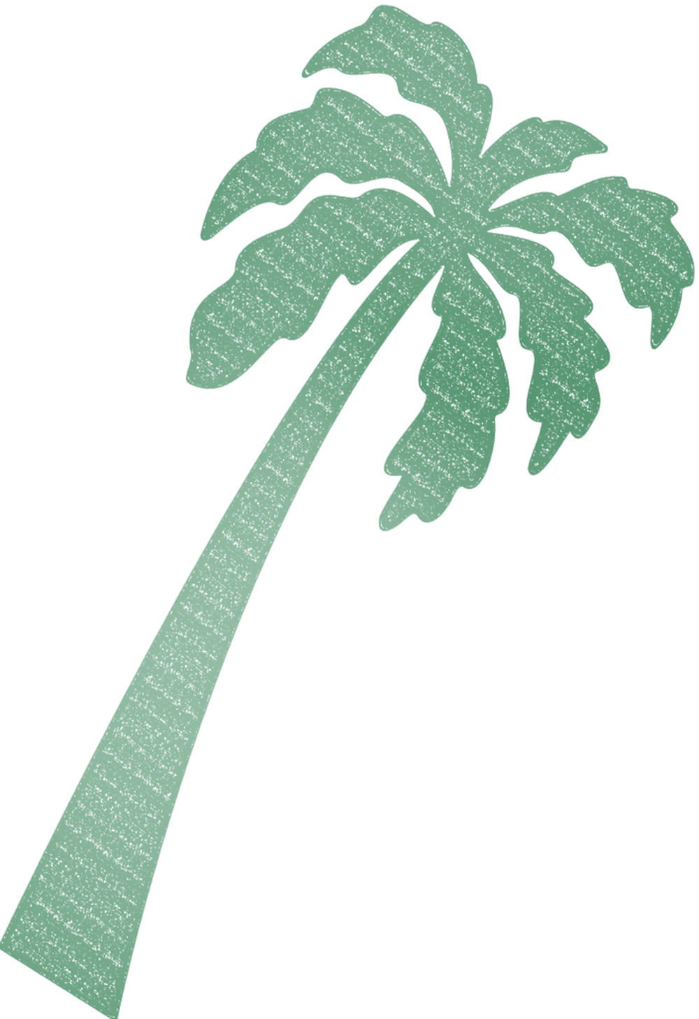 palm