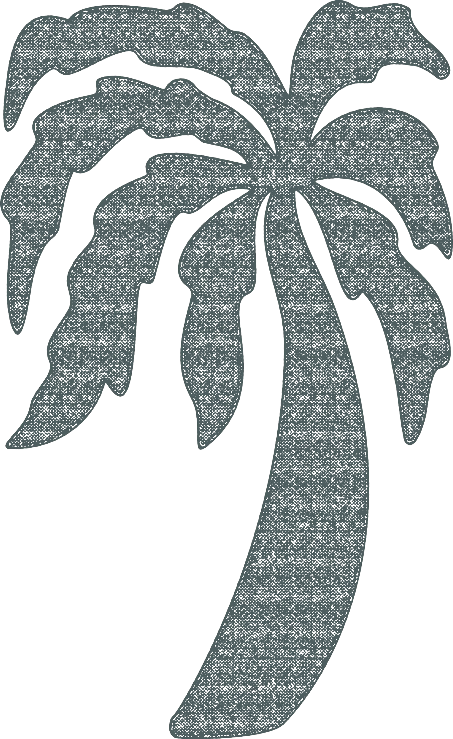 palm