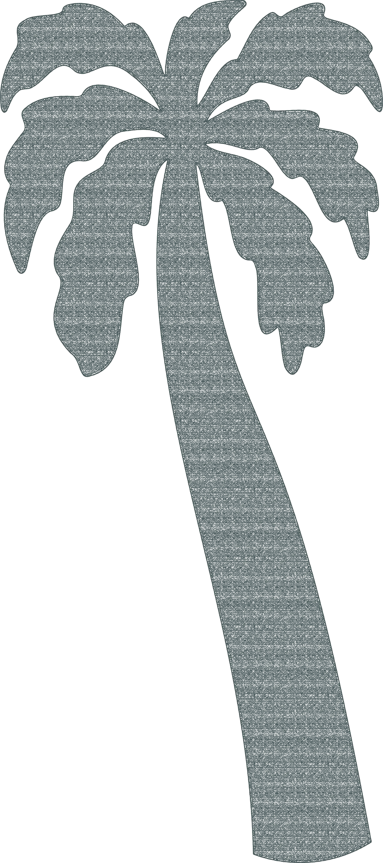 palm