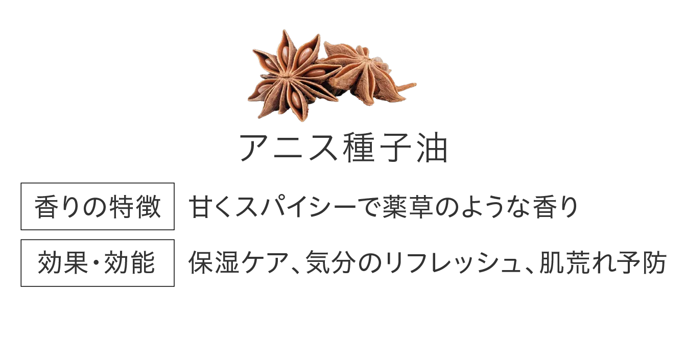 アニス種子油