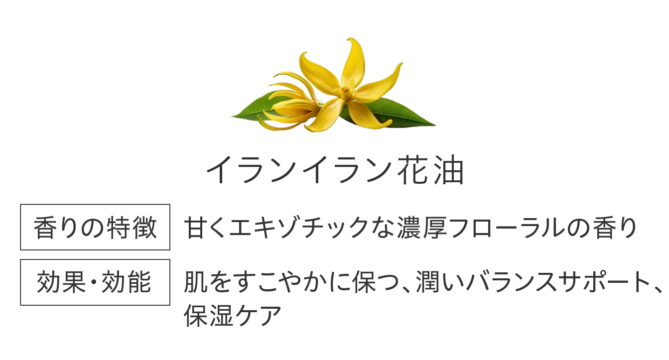 イランイラン花油