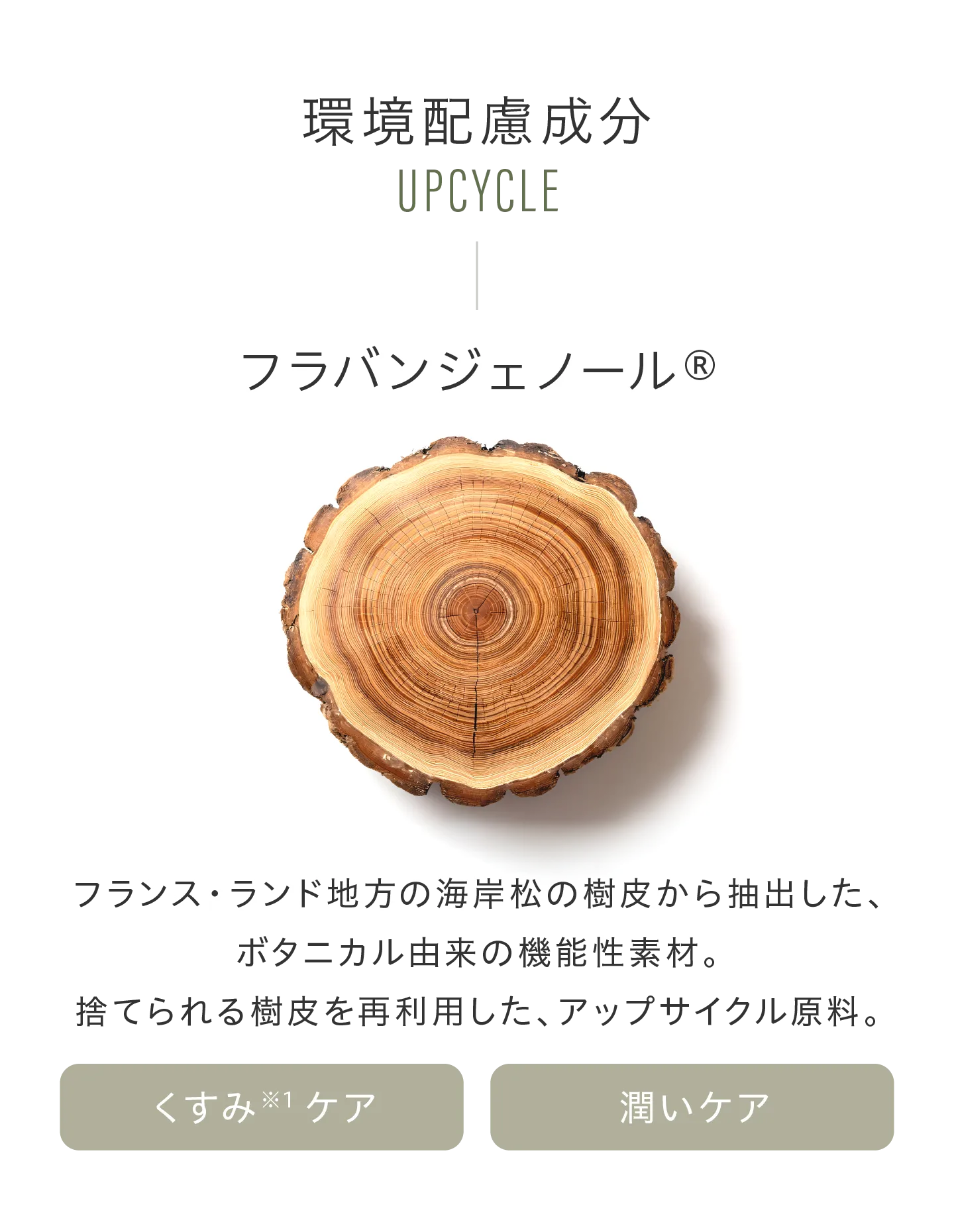 環境配慮成分 フラバンジェノール® フランス・ランド地方の海岸松の樹皮から抽出した、ボタニカル由来の機能性素材。捨てられる樹皮を再利用した、アップサイクル原料。 ●くすみ※1ケア●潤いケア