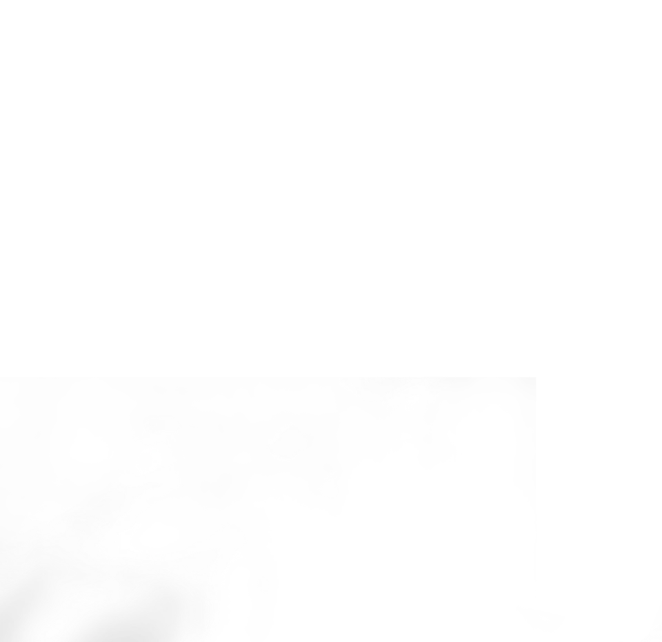 影