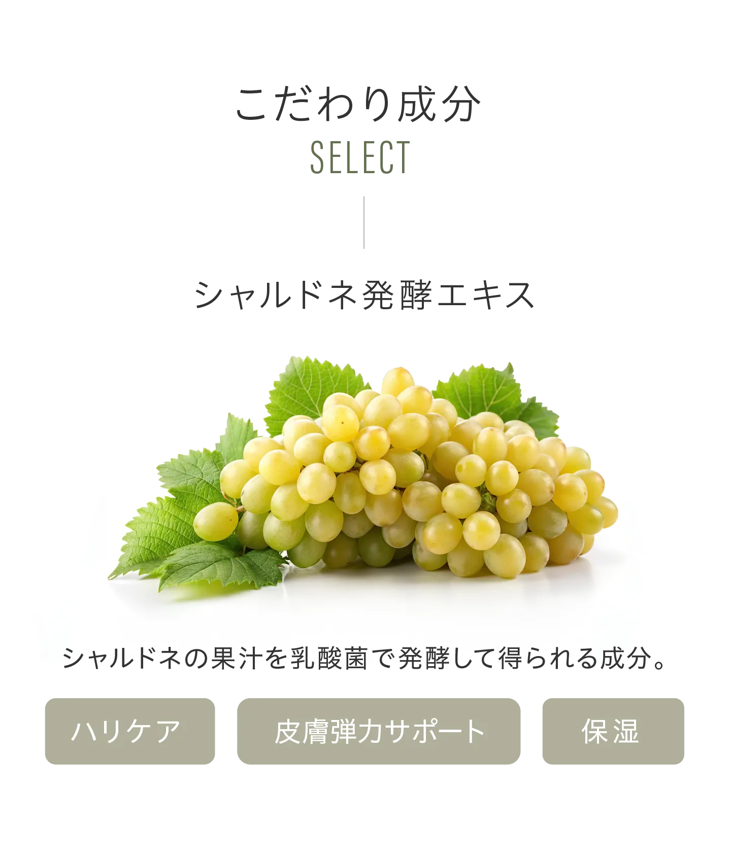 こだわり成分 シャルドネ発酵エキス シャルドネの果汁を乳酸菌で発酵して得られる成分。●ハリケア●皮膚弾力サポート●保湿