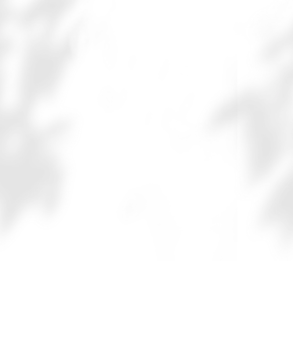 影
