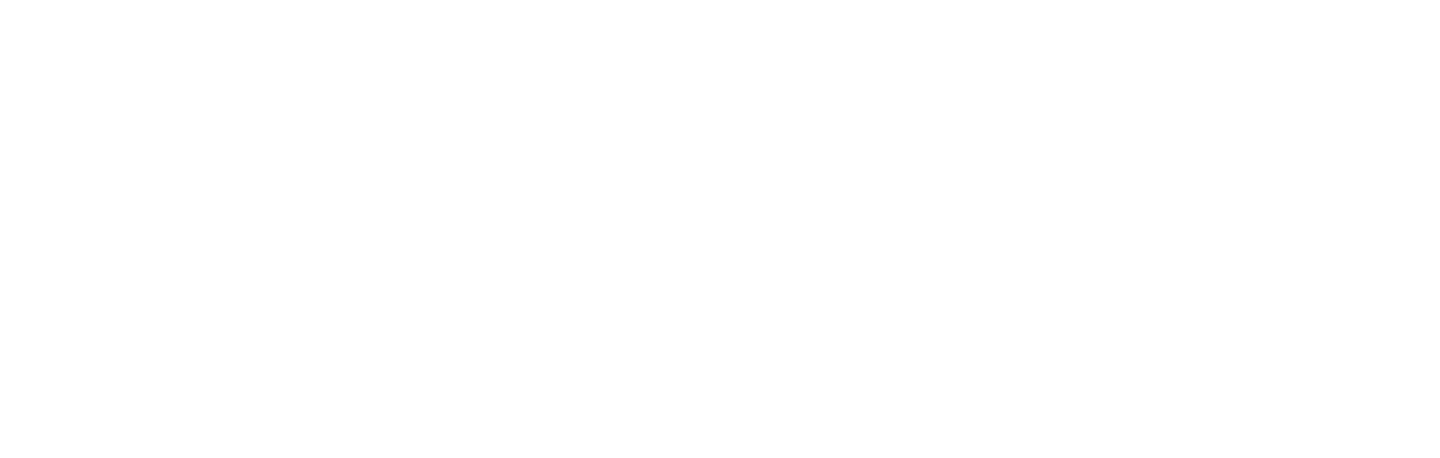 スキンケアシリーズ 共通成分