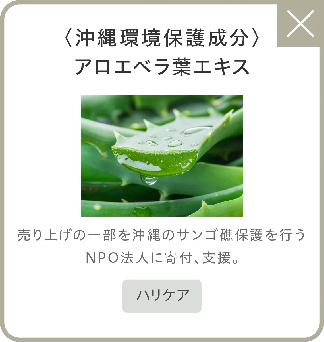 〈沖縄環境保護成分〉アロエベラ葉エキス 売り上げの一部を沖縄のサンゴ礁保護を行うNPO法人に寄付、支援。●ハリケア