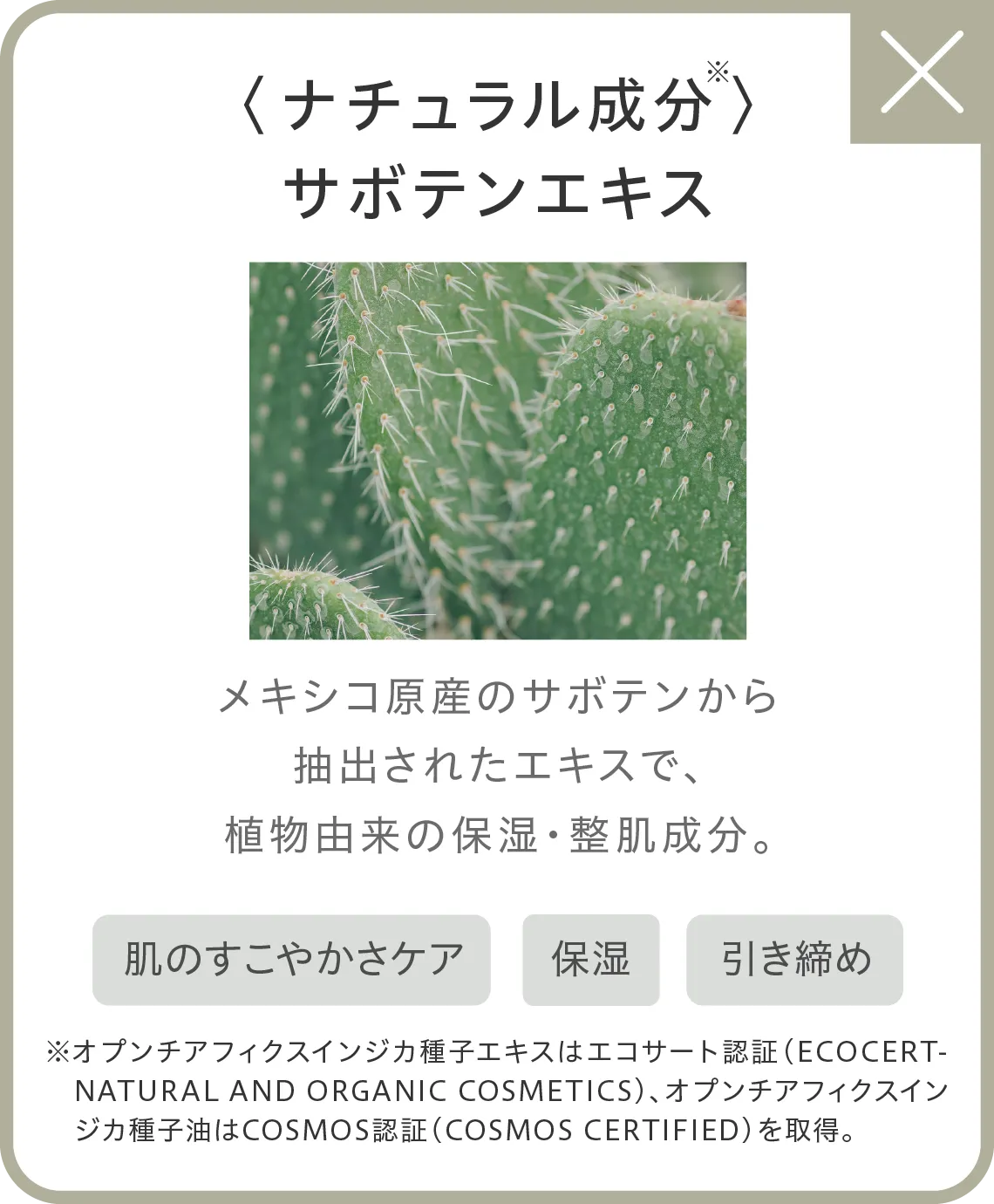 〈ナチュラル成分〉※サボテンエキス メキシコ原産のサボテンから抽出されたエキスで、植物由来の保湿・整肌成分。●肌のすこやかさケア●保湿●引き締め ※オプンチアフィクスインジカ種子エキスはエコサート認証（ECOCERT-NATURAL AND ORGANIC COSMETICS）、オプンチアフィクスインジカ種子油はCOSMOS認証（COSMOS CERTIFIED）を取得。