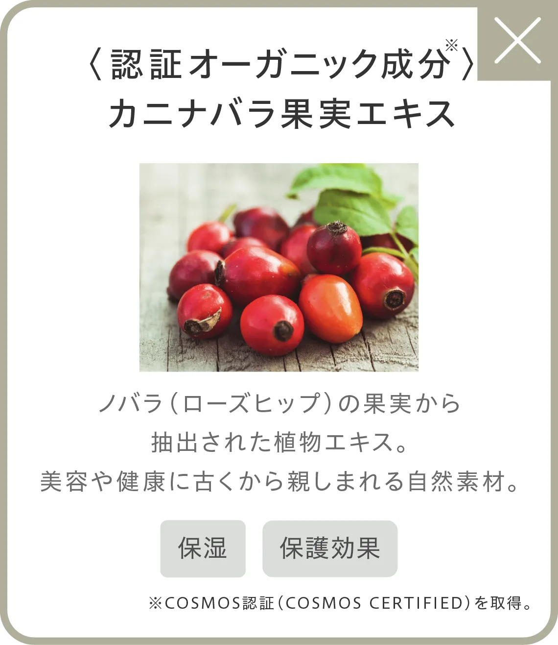 〈認証オーガニック成分〉※カニナバラ果実エキス ノバラ（ローズヒップ）の果実から抽出された植物エキス。美容や健康に古くから親しまれる自然素材。●保湿●保護効果 ※COSMOS認証（COSMOS CERTIFIED）を取得。