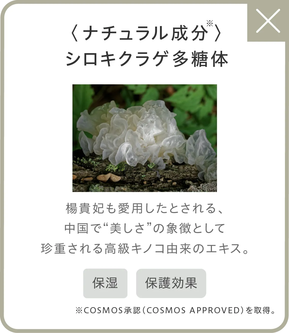 〈ナチュラル成分〉※シロキクラゲ多糖体 楊貴妃も愛用したとされる、中国で“美しさ”の象徴として珍重される高級キノコ由来のエキス。●保湿●保護効果※COSMOS承認（COSMOS APPROVED）を取得。
