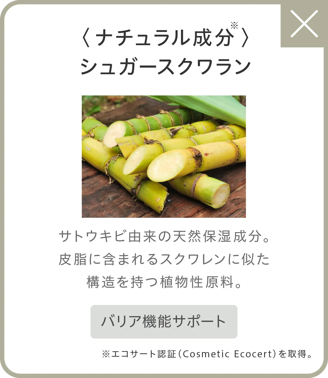 〈ナチュラル成分〉※シュガースクワラン サトウキビ由来の天然保湿成分。皮脂に含まれるスクワレンに似た構造を持つ植物性原料。●バリア機能サポート※エコサート認証（Cosmetic Ecocert）を取得。