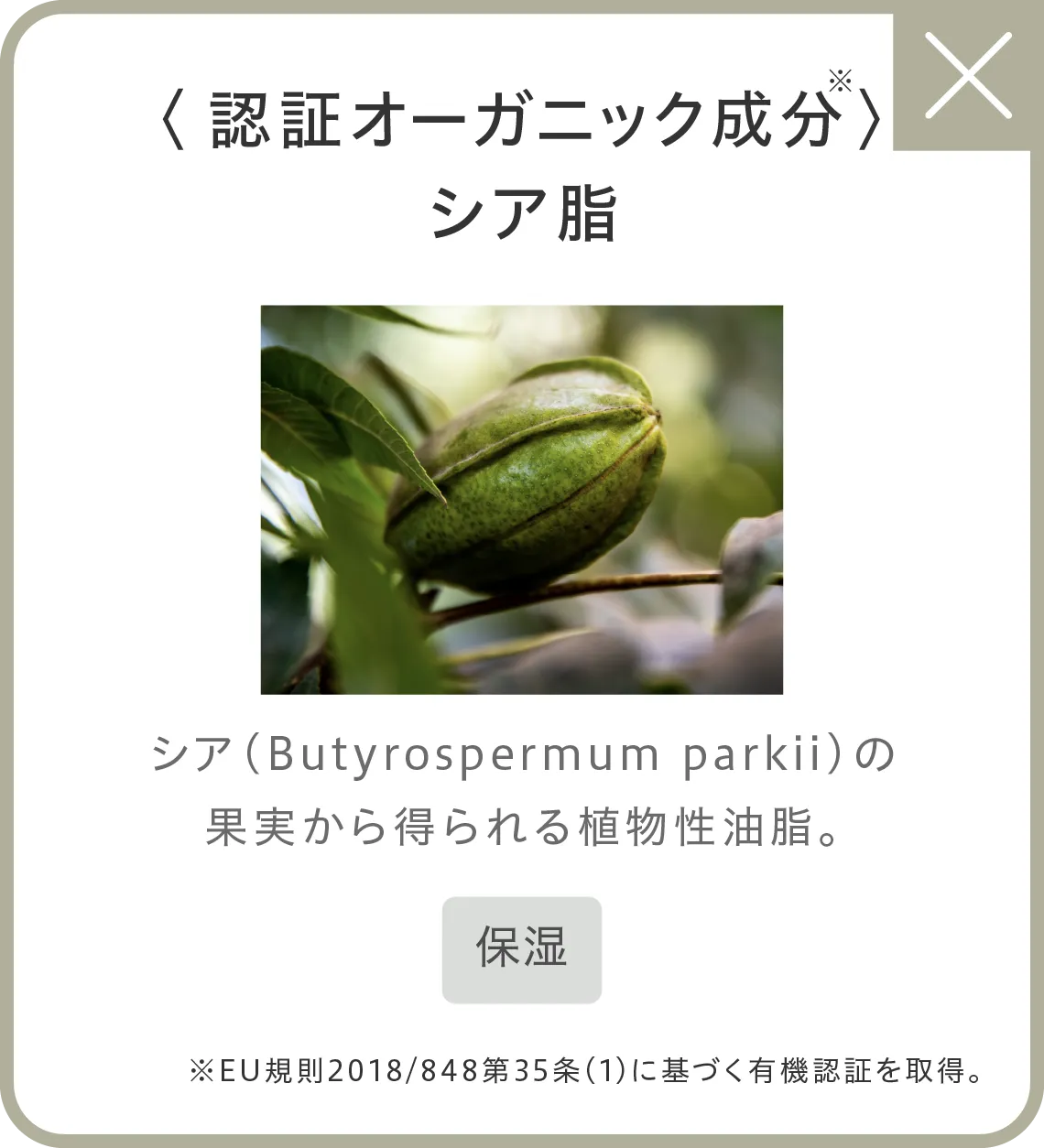 〈認証オーガニック成分〉※シア脂 シア（Butyrospermum parkii）の果実から得られる植物性油脂。●保湿 ※EU規則2018/848第35条(1)に基づく有機認証を取得。